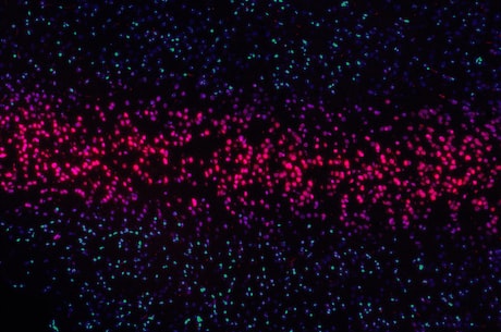 等离子能写字了！科学家初步实现等离子体写字技术！