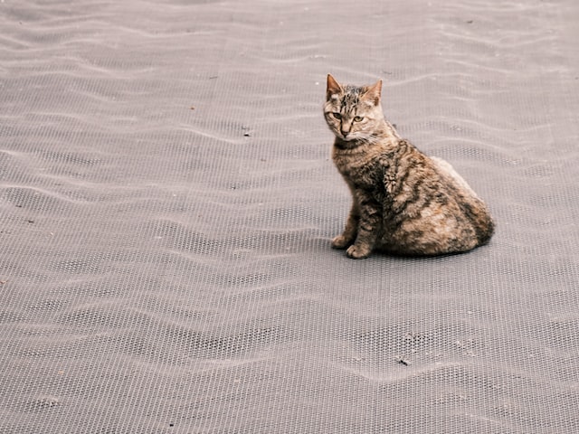 南京二本大学介绍