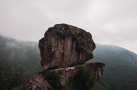 云雾缭绕的雾中山——国内最大自然保护区之一