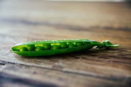 探秘广州美食网