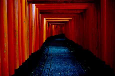 写在人生边上pdf 一夜秋雨