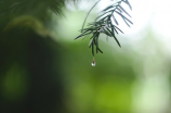 周口市天气预告 | 周口市周间天气变化大，多雨多阴，注意防潮防雨