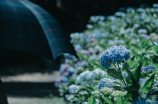 陈思雨(陈思雨登上封面！——揭秘女神的生活方式)